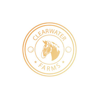Clear Waters — Wonderwise Productions client