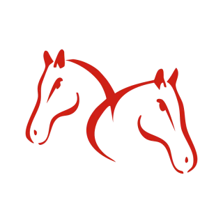 Fifth Chukker — Wonderwise Productions client